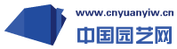 凉山运动减肥训练营